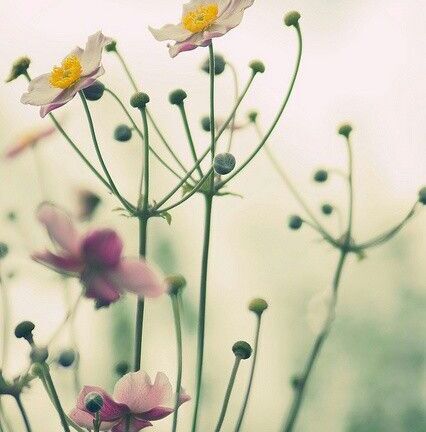 Những khúc ca xuân còn mãi với thời gian